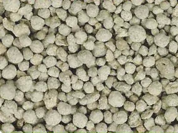 ZENFERT® NS 13-29 (Česko)