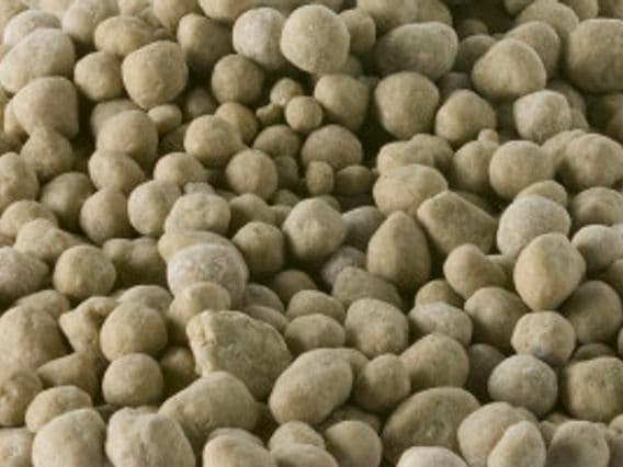 ZENFERT® 24 N